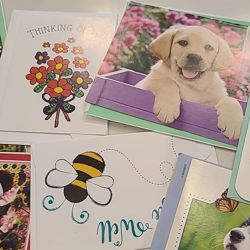 Bundle of 14 Greeting Cards